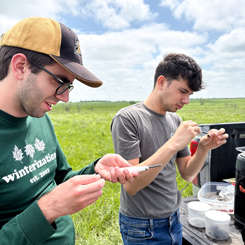 The samples that REEVES fellows collect on cattle pastures can provide a closer look at Theileria orientalis outbreaks.
