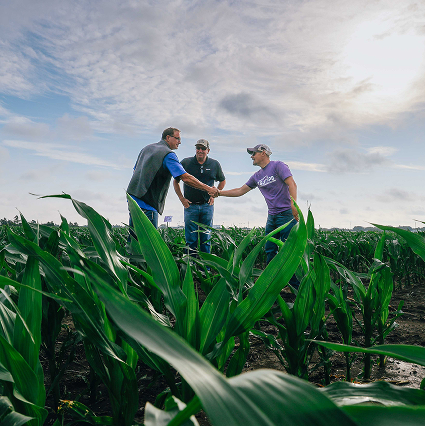 A group of extension professionals meet and shake hands with a farmer in a field.