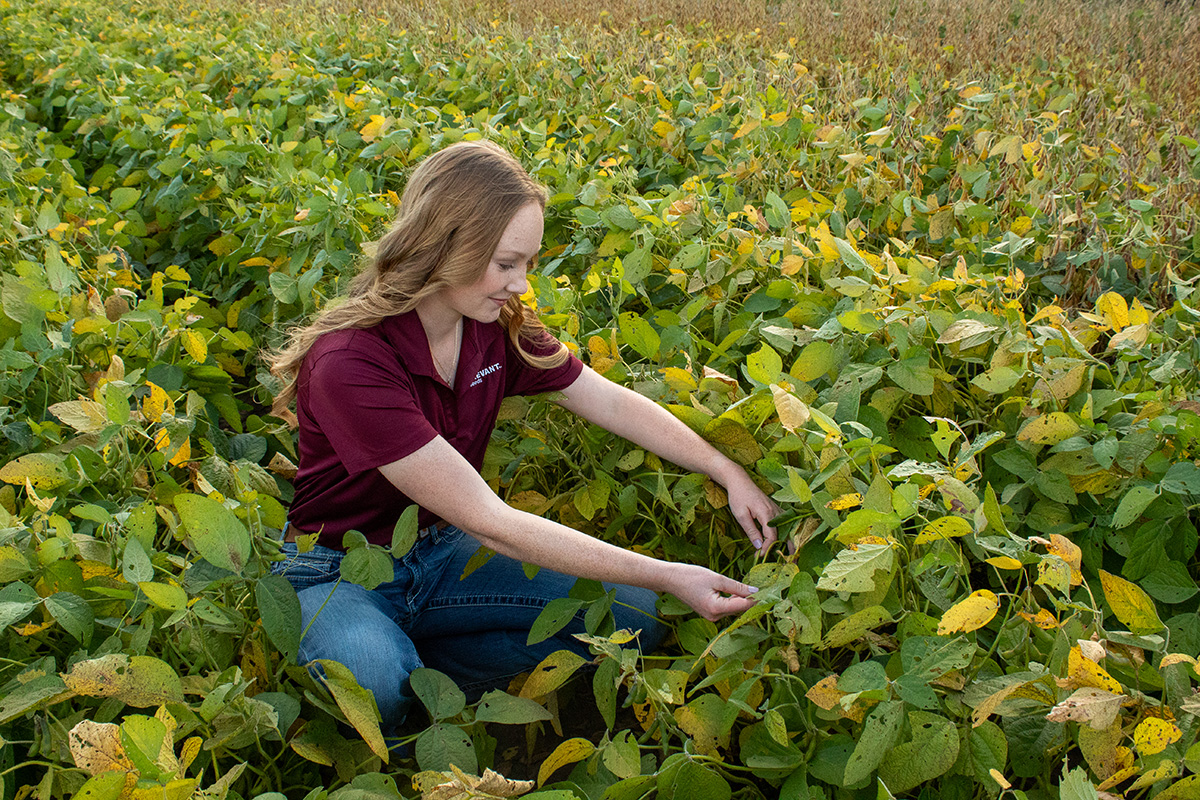 Ashlynn Hartman kneels down in a field and examines the leaves on a plant. 