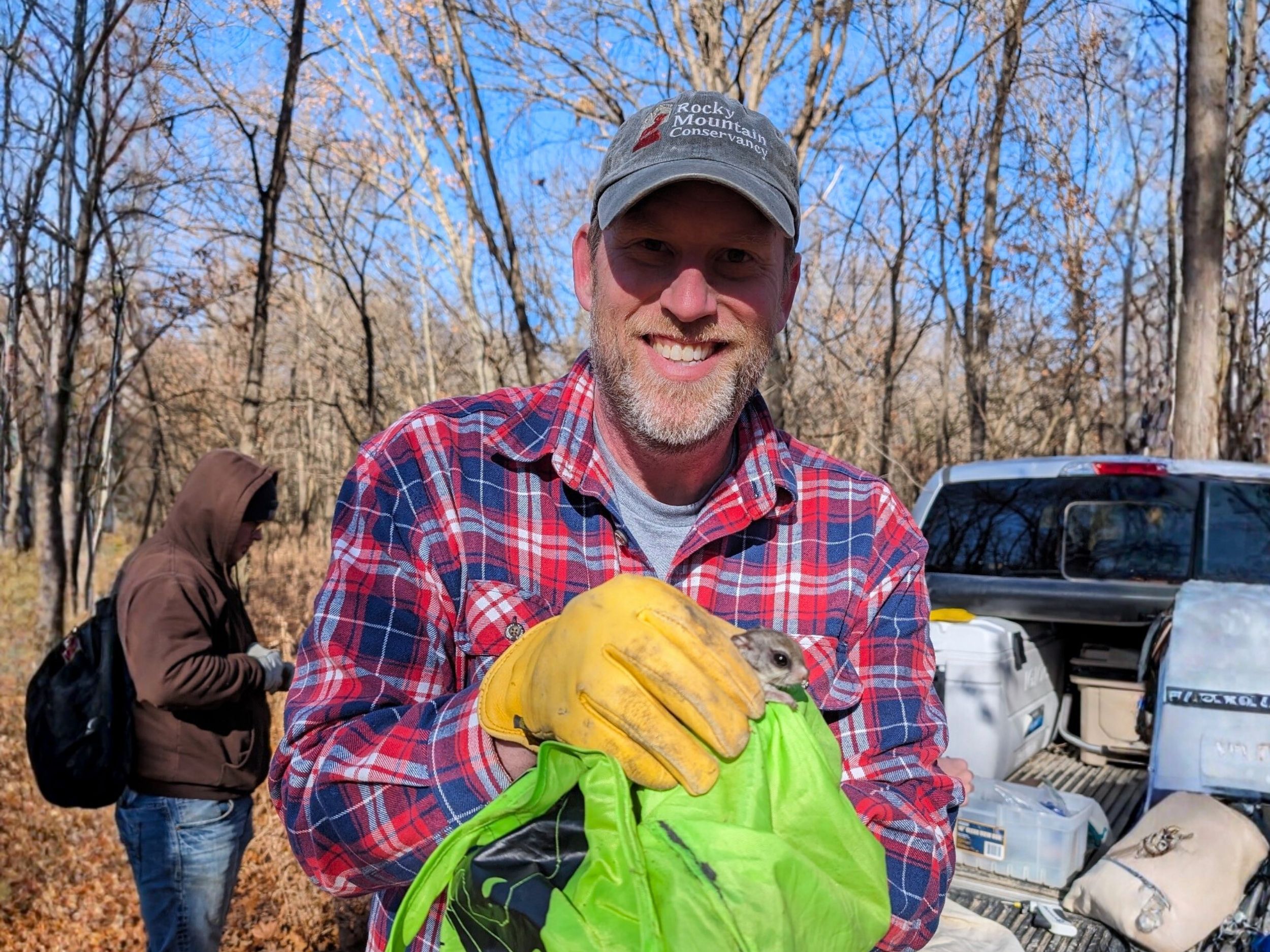 Adam Ahlers, wearing yellow outdoor gloves, holds a small woodland rodent in a green towel and smiles for a photo.