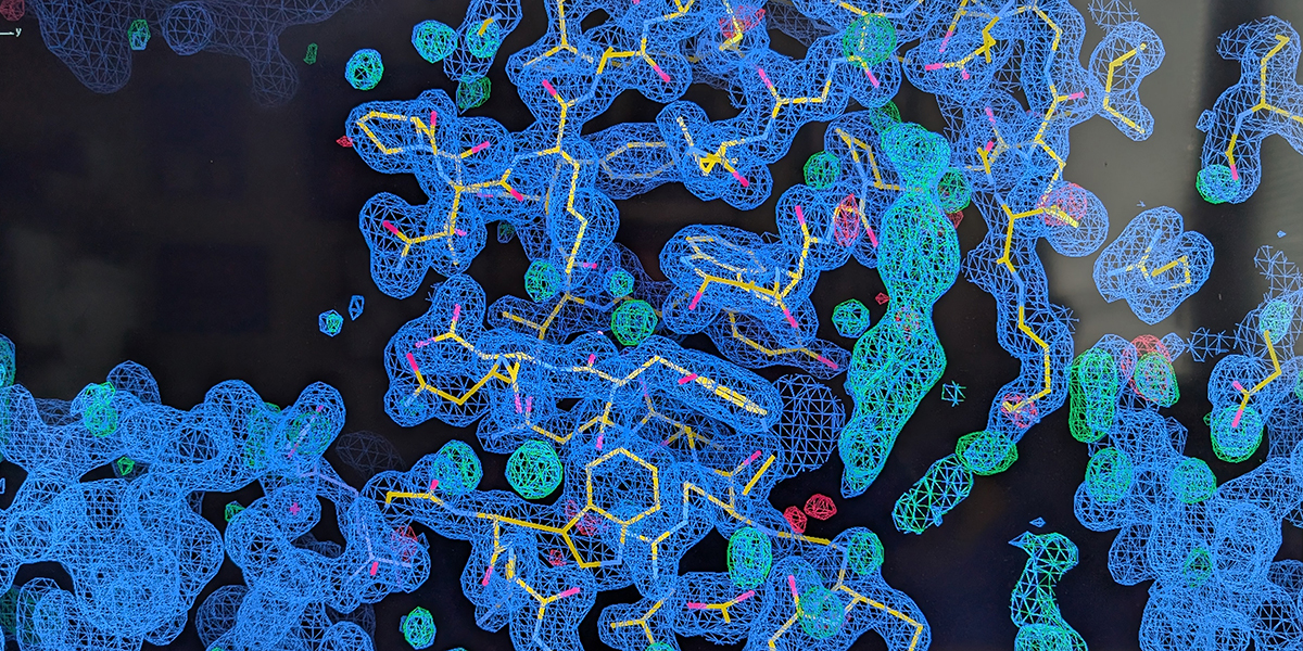 A microscope view shows a protein inhibitor as colorful organisms against a black background.