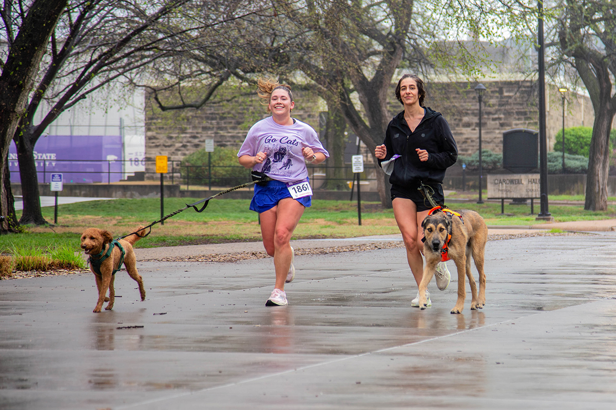 Two runners jog on wet pavement with their dogs during rainy conditions. Runner on left wears purple "Go Cats" shirt and blue shorts with race bib 1861, accompanied by small brown dog. Runner on right wears black jacket, accompanied by large tan dog with orange bandana. Campus buildings and bare trees visible in misty background.
