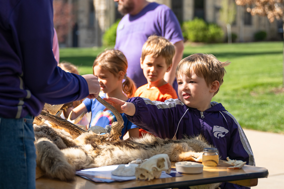 Three kids stand at a table set up outside with animal bones, pelts and horns in an interactive exhibit at K-State Open House.