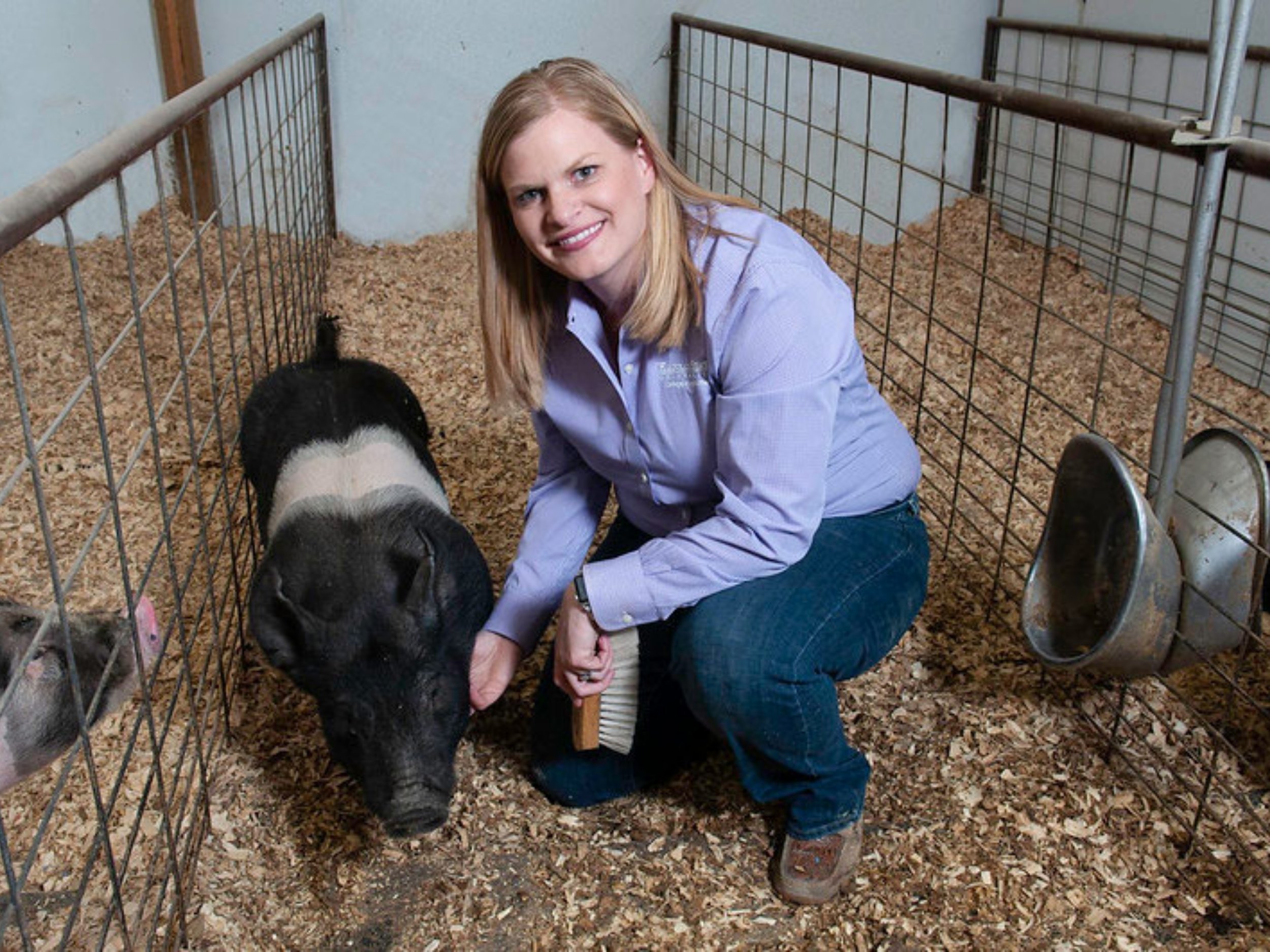 Cassie Jones stands crouched next to a black-and-cream pig, holding a brush.