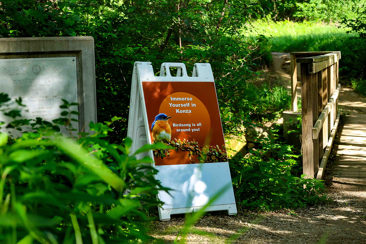 A sandwich board sign at the head of a wooded prairie trail says "Immerse yourself in Konza, birdsong is all around you!"