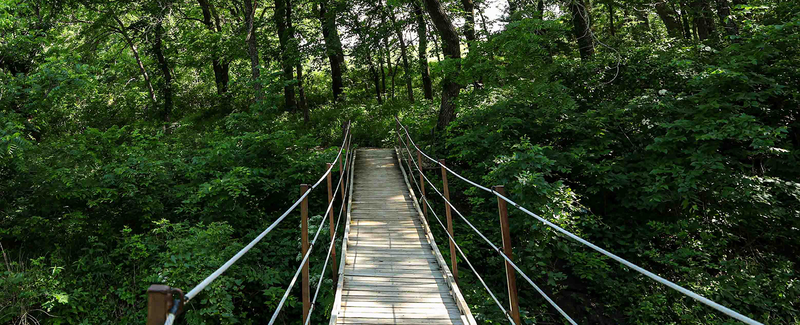 A rope bridge hangs over a creek connecting a trail in a wooded prairie.