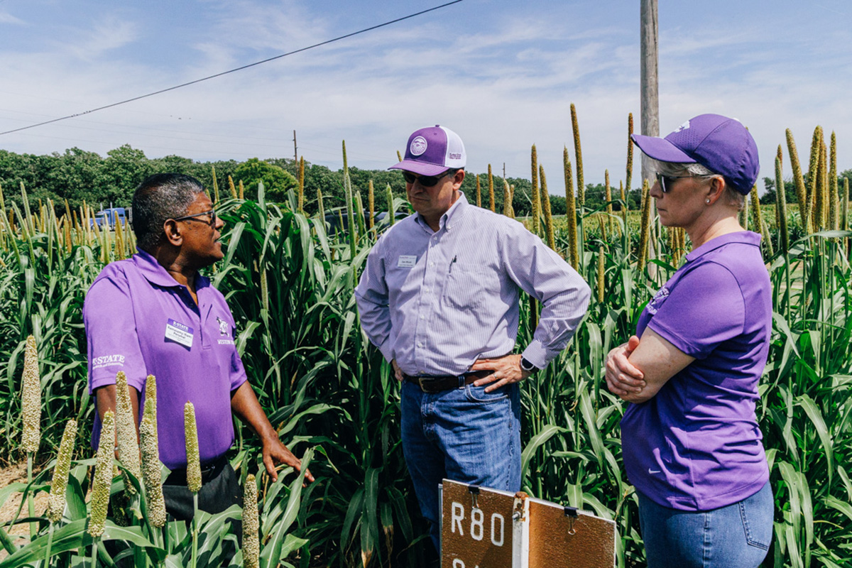 Three people wearing purple stand among tall green plants.