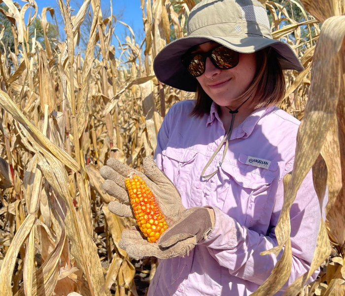 A student wearing a brimmed hat stands in a corn field holding an ear of corn.