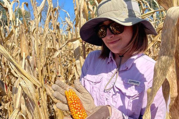 A student wearing a brimmed hat stands in a corn field holding an ear of corn.