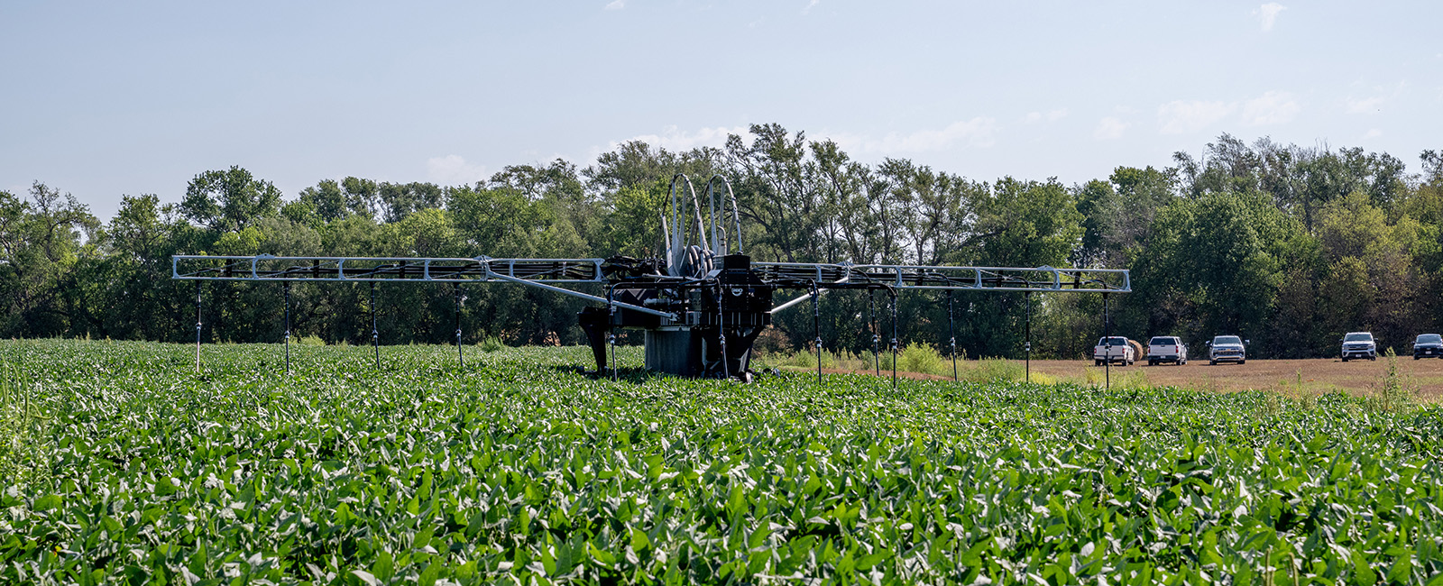 A blue irrigation machine sits in a field of green growth with trees in the background and a blue sky overhead.