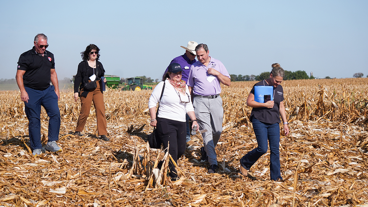 A group of six people walks through a corn field with a tractor visible in the background.
