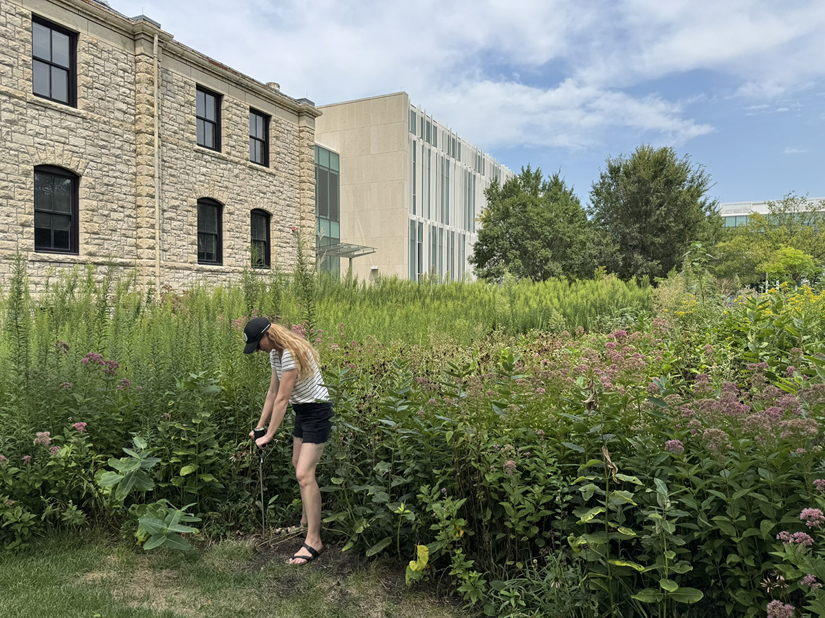 A woman works in a meadowy area by a college building.