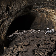 Cave Rover Cave Rover