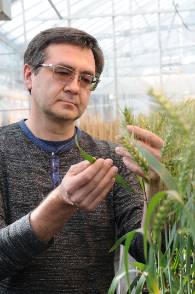 Eduard Akhunov Eduard Akhunov