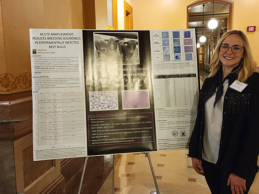 Anne Lovett Anne Lovett