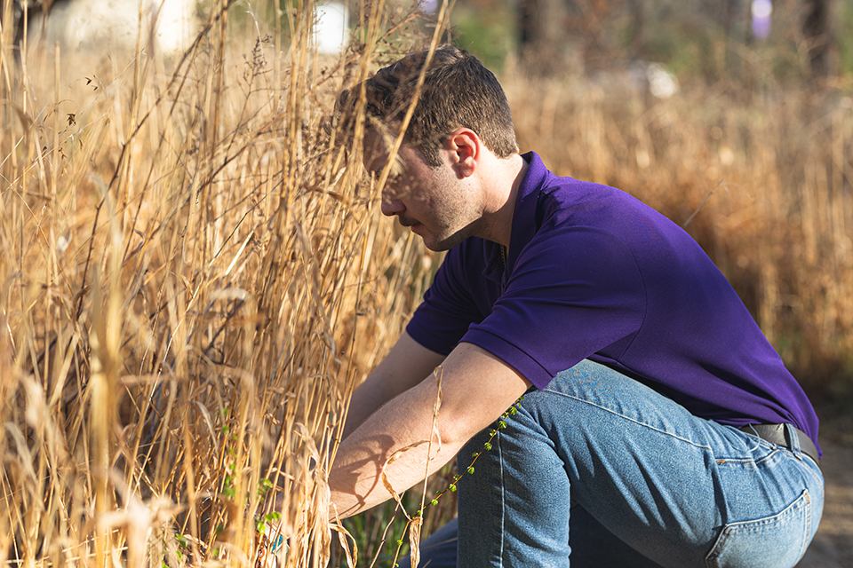 Alt description here