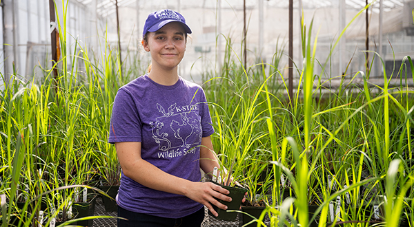 A female college student in a purple t-shirt and ball cap poses for a portrait among several pots of tallgrass in a greenhouse.