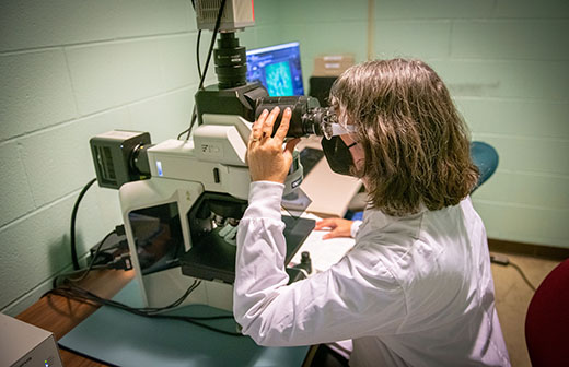 Kimberly Kirkpatrick Kimberly Kirkpatrick, Kansas State University distinguished professor of psychological sciences and CNAP director, works at a microscope.