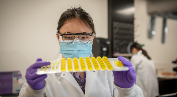 A researcher looks at test samples.