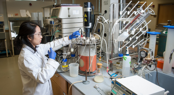 A researcher works in a lab