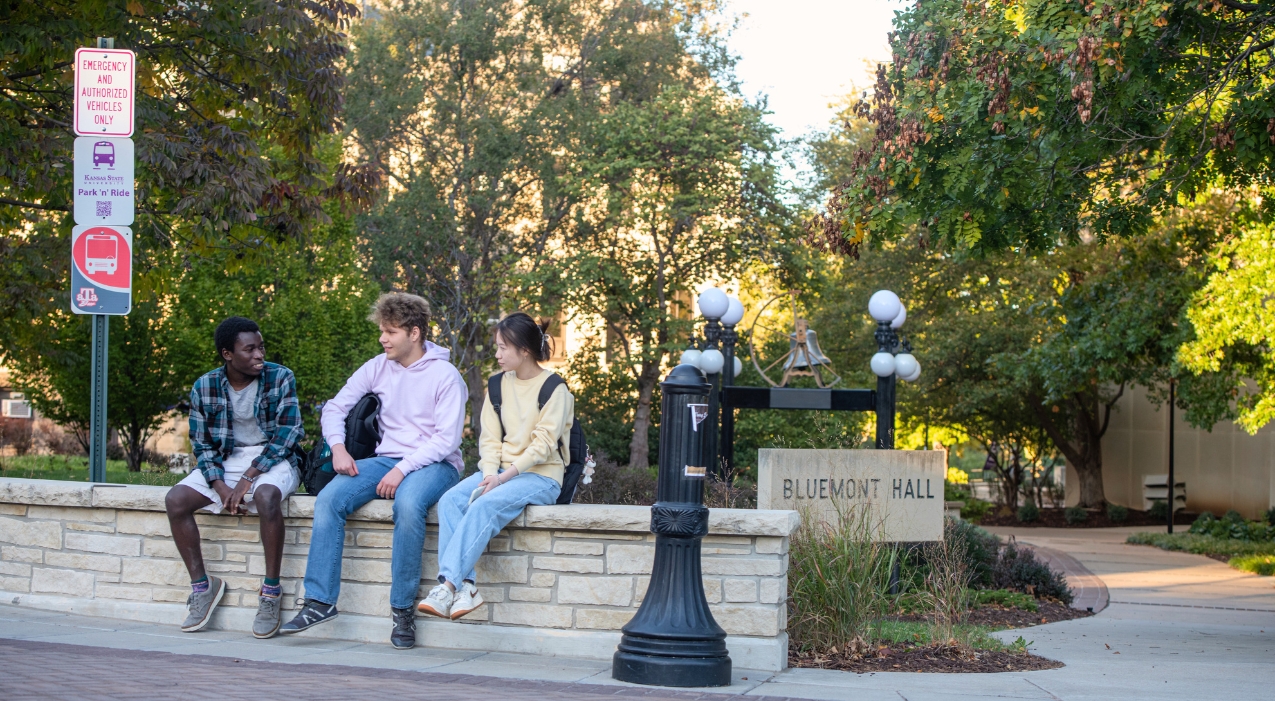 Students sit on a limestone ledge outside of Bluemont Hall.