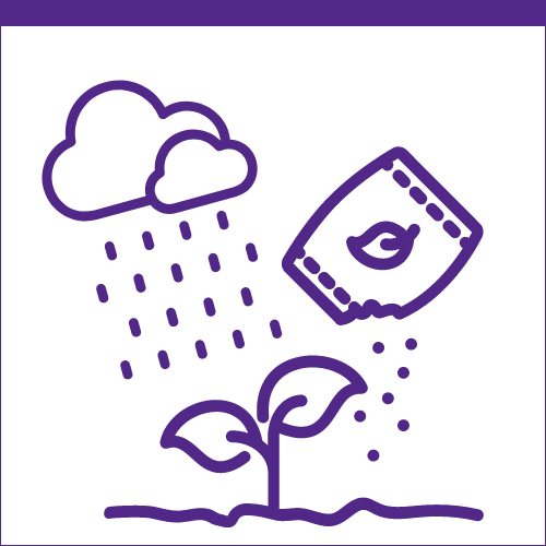 Purple icon depicting crops receiving rain and fertilizer