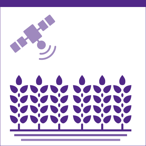 purple icon depicting a crop with a satellite overhead