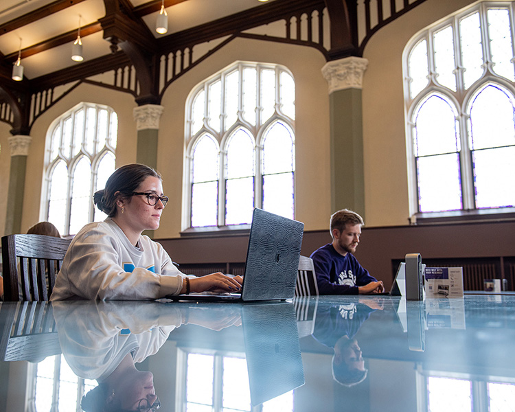 Students studying in the Great Hall in Hale Library