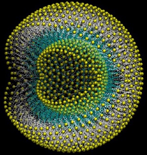 This computer-generated illustration shows the structure of Branched Amphiphilic Peptide Capsules, called BAPCs, developed at Kansas State University and licensed by Phoreus Biotechnology. The BAPCs are inert but can deliver active ingredients that kill pests and parasites or treat diseases.