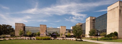 Engineering Complex