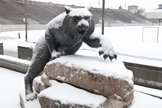 Wildcat statue at the K-State Alumni Center