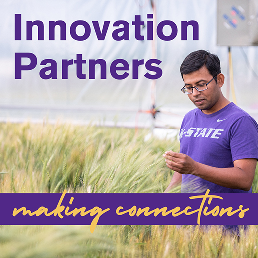 Innovation Partners