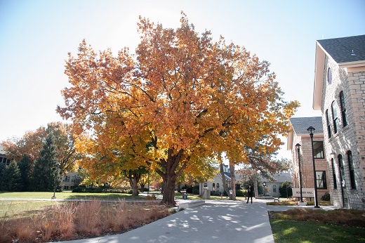 Fall on Manhattan Campus