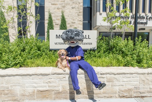 Willie and Dog