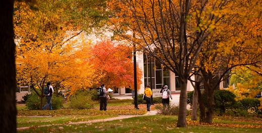 Fall Campus