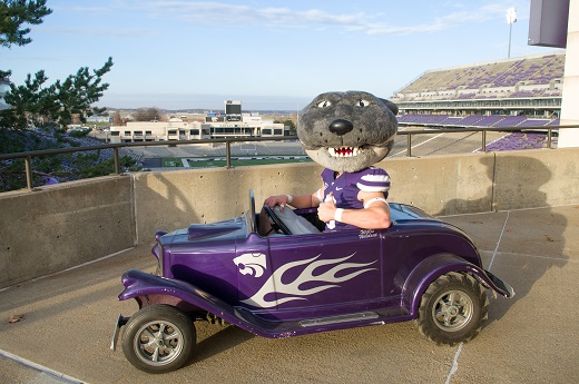 Willie the Wildcat