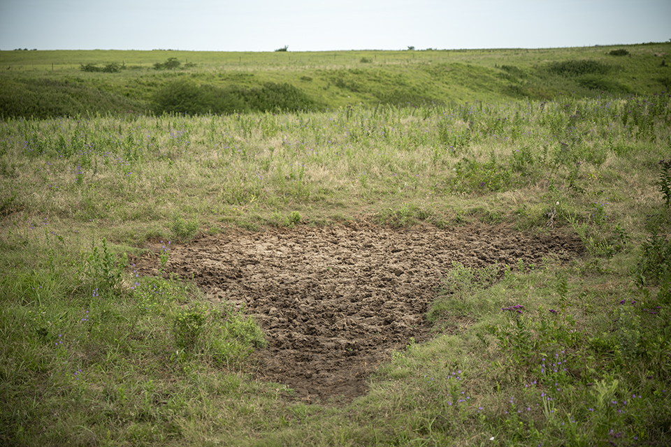 A biologist overlooks a bison wallow, a large depression in the ground that has collected water, alongside a gravel road that runs through a prairie.