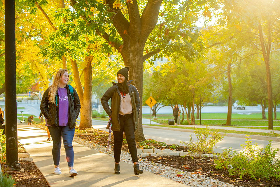 A pair of female students walks up a sidewalk during a warm, yellow-ish fall day.