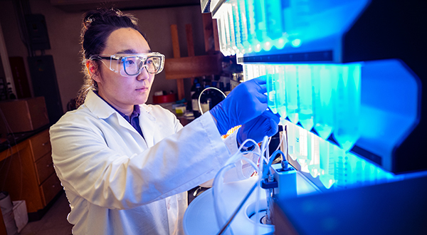 A researcher in a labcoat examines an array of blue test tubes.