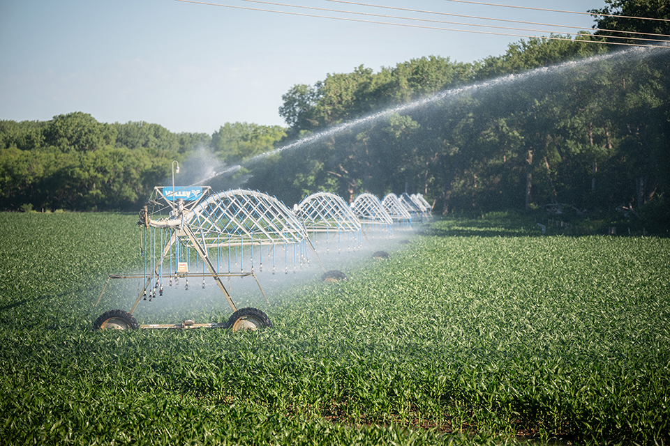 Irrigation in a field