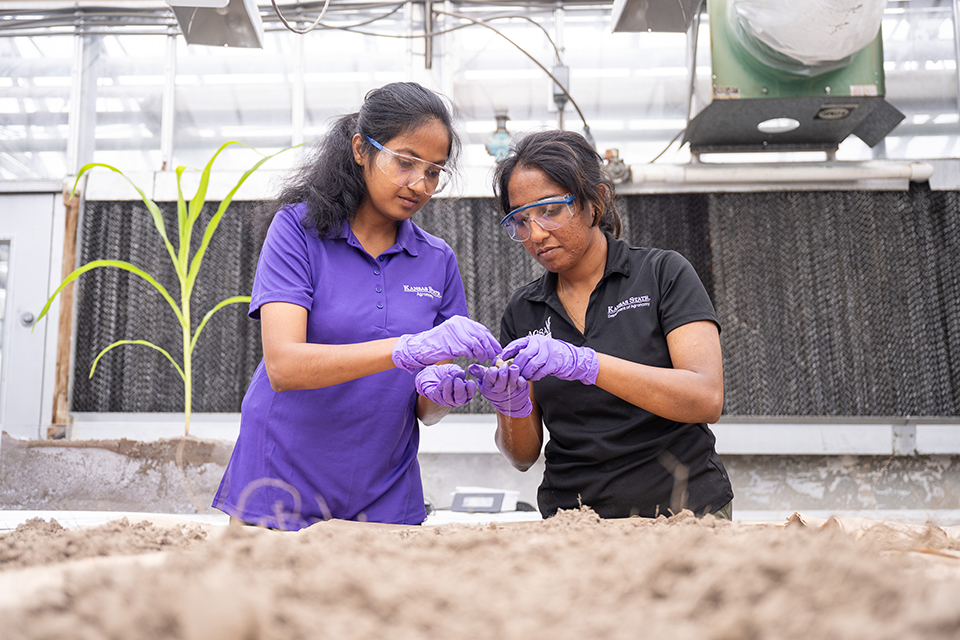 Two researchers in safety glasses and gloves examine biochar.