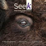 The cover of Seek Spring 2017.