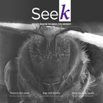 The cover of Seek Spring 2018.