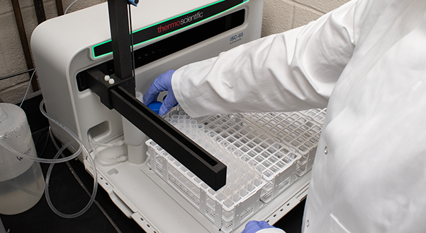 A person readies samples for lab testing