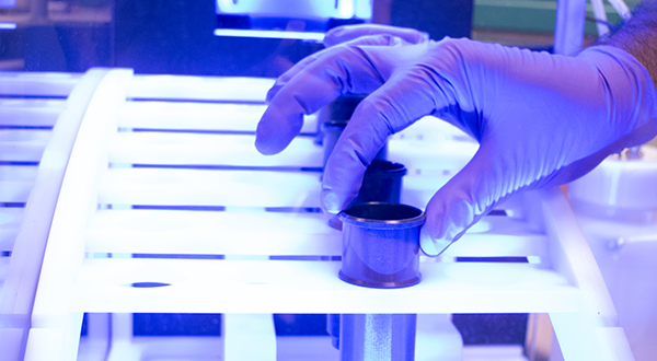a gloved hand carefully holds a test tube under blue light